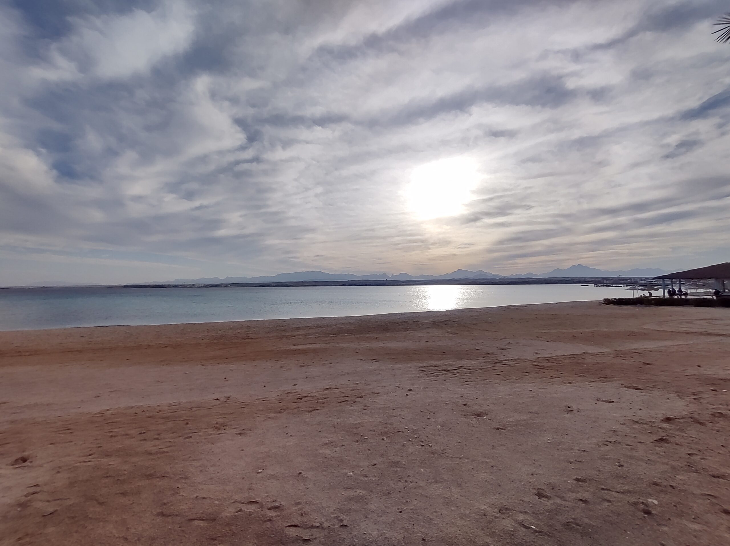 IMG_20220130_160851898_HDR